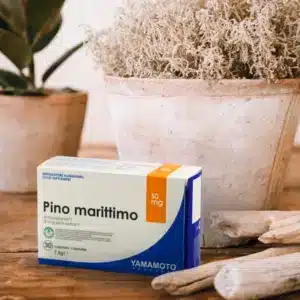 Pino marittimo Pycnogenol 30cps | Yamamoto Nutrition