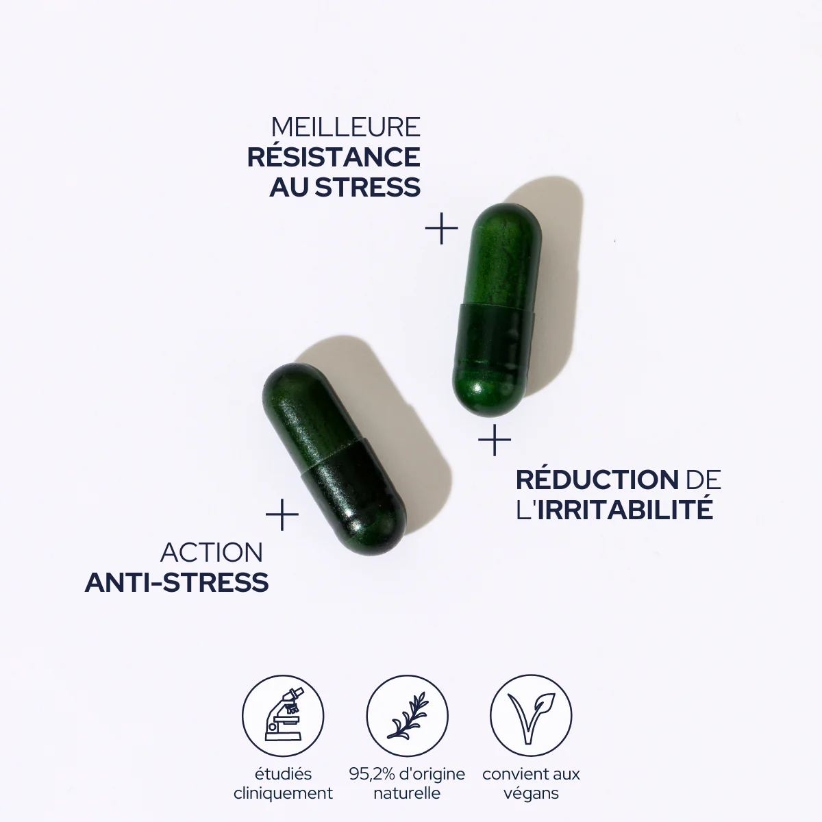 Cura Antistress - 1 MESE DI CURA - 2 capsule/giorno EPYCURE