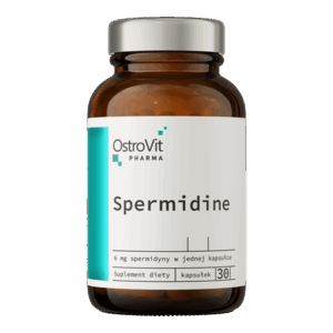 spermidina
