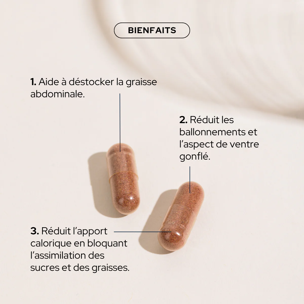 Bienfaits_Focusgalenique_014c5b76-3cb2-4f14-9cc2-565635c45be3_1400x